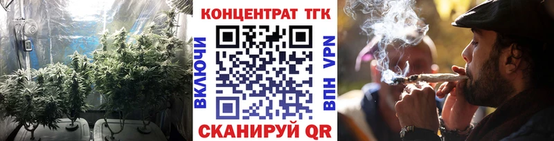 купить закладку  Щучье  ТГК THC oil 